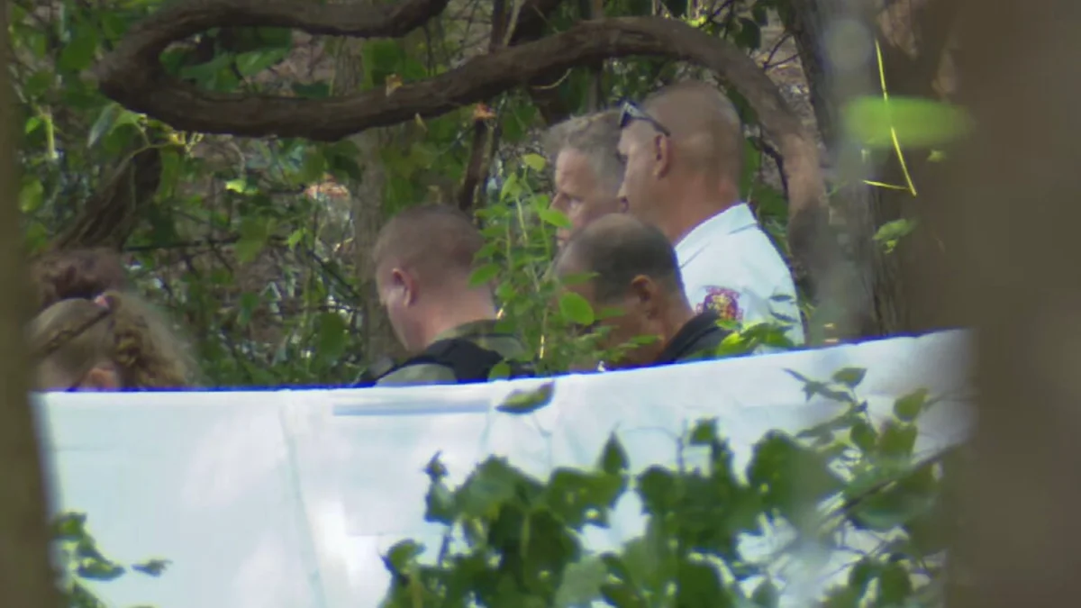 Tiga Korban Kecelakaan Pesawat Pribadi Di Maryland Telah Diidentifikasi
